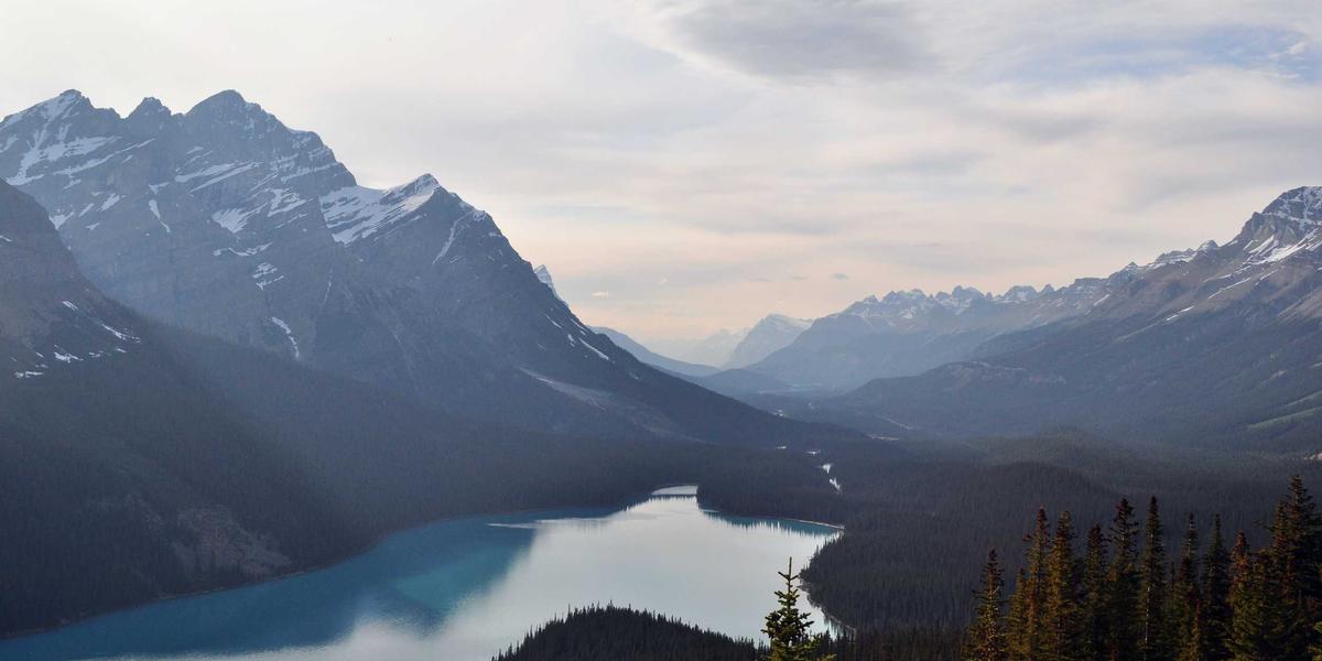 Sähköasennus päivystys